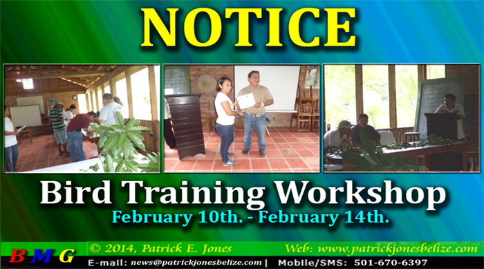 Bird Training Workshop (February 10 - February 14)
