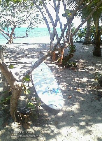 Rodriguez' surf board
