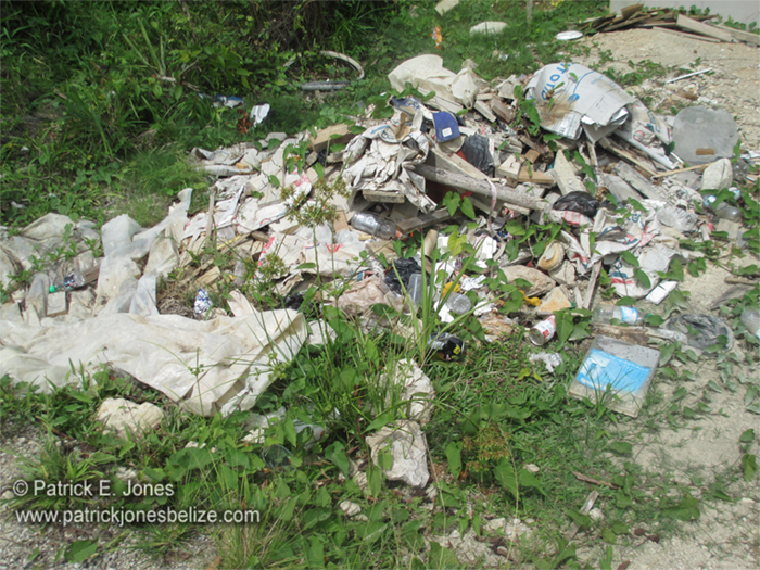 Garbage problem (Boom Creek village, Toledo)