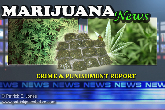 Marijuana arrest