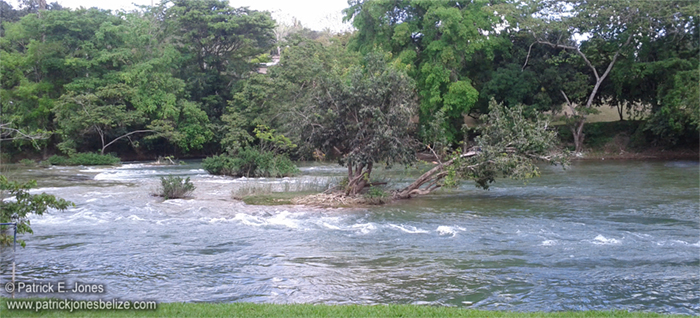 The Mopan River (Bullet Tree Falls village)