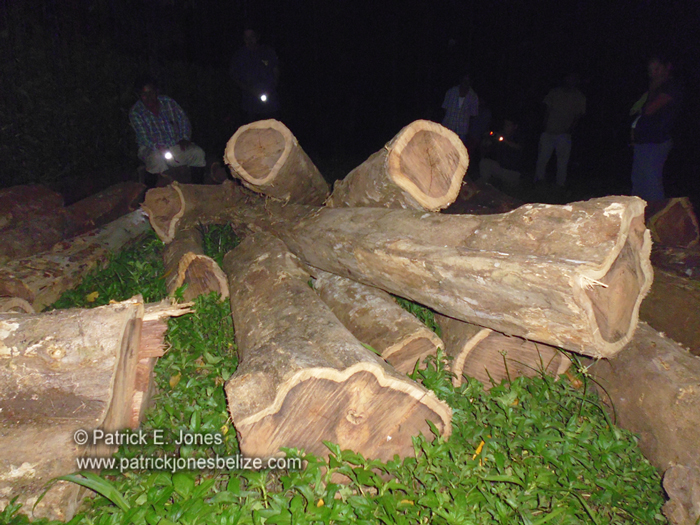 Illegal Rosewood confiscated (Toledo)