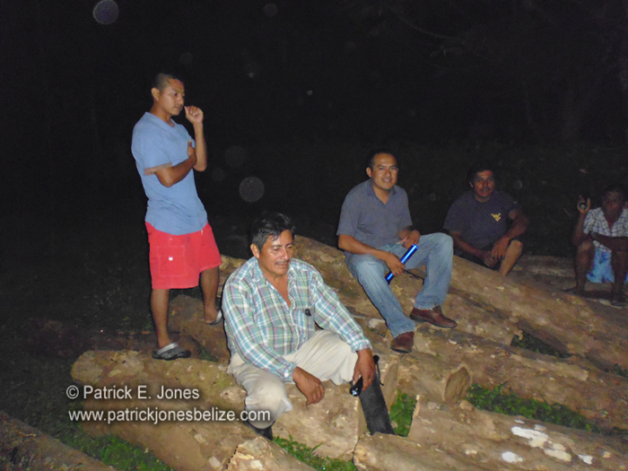 Maya leaders confiscate illegal rosewood logs (Toledo district)