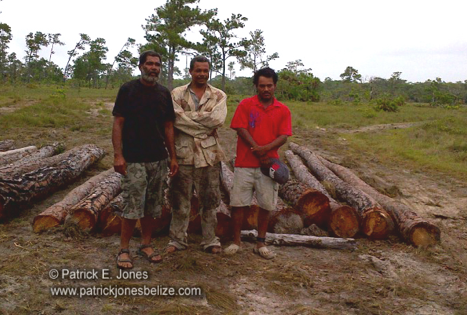 Carmelita village men (Charged for illegal logging)