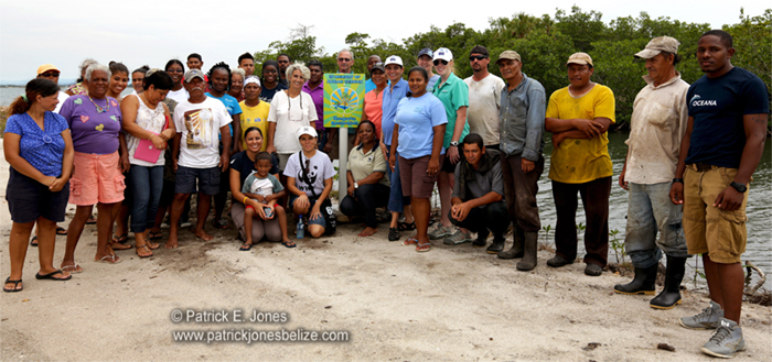 Mangrove Planting Project (Placencia village)