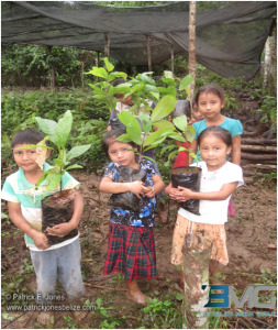 Even children are taught organic farming