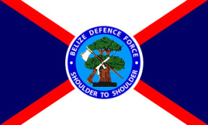 Belize Defence Force Flag