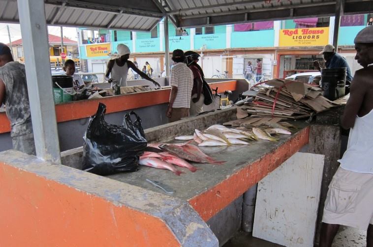 belize fish market