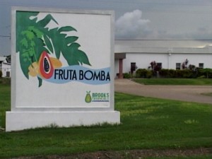 Fruta-Bomba0001