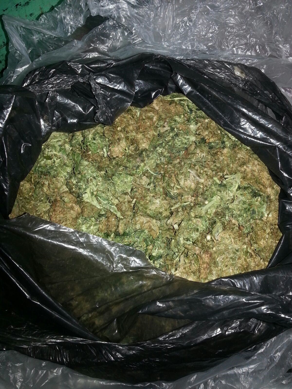2.26 kilo weed