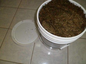 bucket of weed