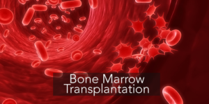 bone-marrow-transplantation-detailed