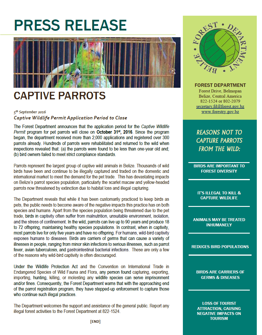 press release parrot