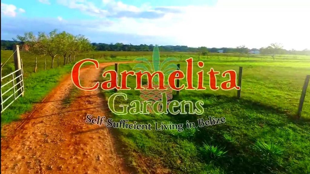 carmelita gardens belize